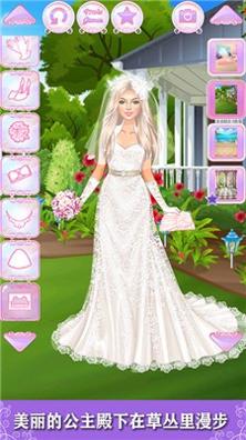 小公主的装扮日志 v1.0