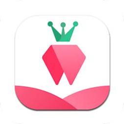 树莓小说阅读器