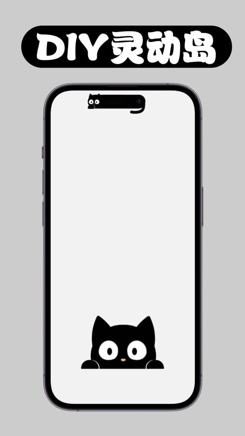 灵动岛壁纸  V 1.0