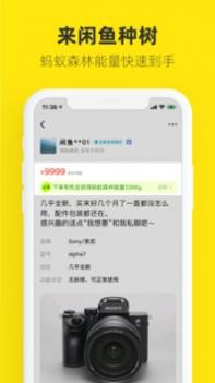 闲鱼手机回收 v3.0.5