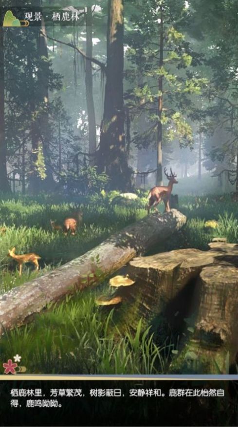 凡人修仙传文字版游戏最新版  v3.4.3