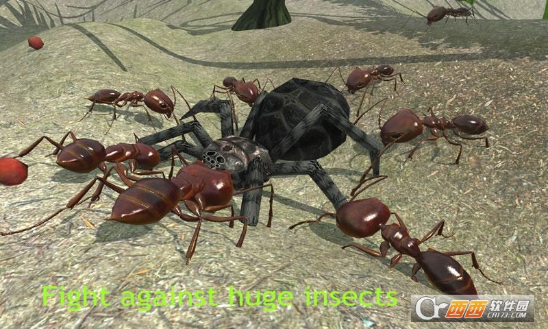 蚂蚁模拟安卓版