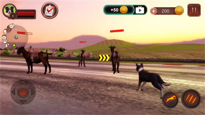 边境牧羊犬模拟器Border Collie Simulator