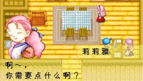 牧场物语矿石镇的伙伴们  v2.0.0