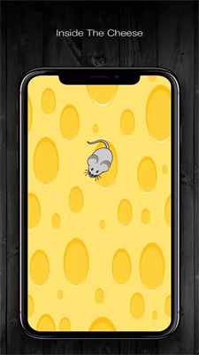 最优化的猫CatchThe Mouse