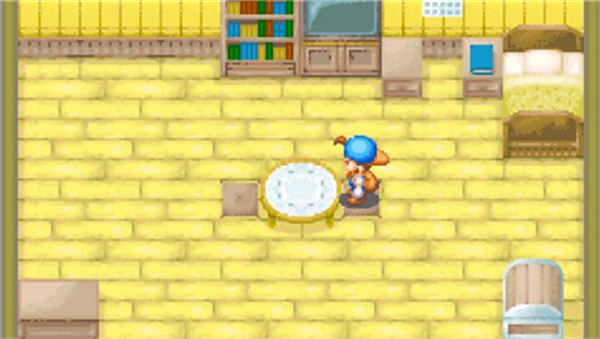 牧场物语矿石镇的伙伴们 v2.0.0