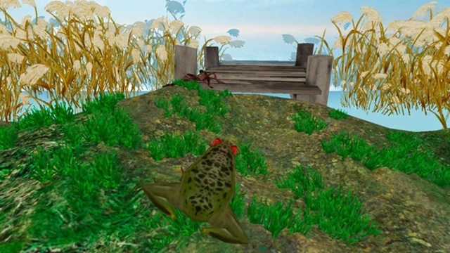 Frog Survival Simulator 3D(雨林青蛙生存模拟) v1.0.0 安卓版