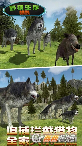 野狼生存模拟截图3