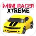 Mini Racer Xtreme
