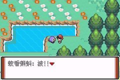 口袋妖怪赤特别篇