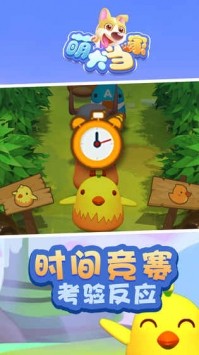 萌犬当家 2019-12-03 18:16