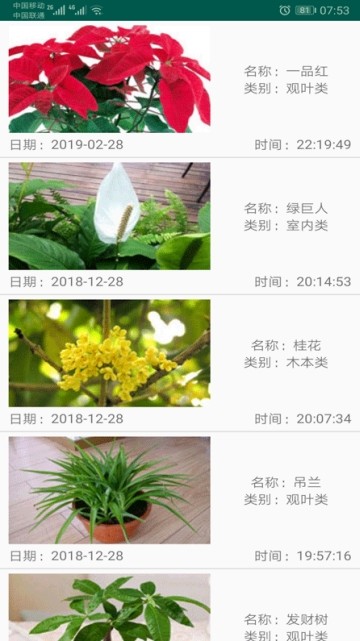 绿植花卉 2020-01-03 16:21
