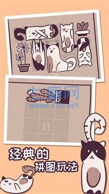 我的小猫贼好看游戏