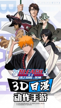 BLEACH境·界-魂之觉醒：死神 v4.0.5