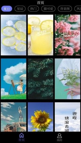 花田动态壁纸 v1.0.0