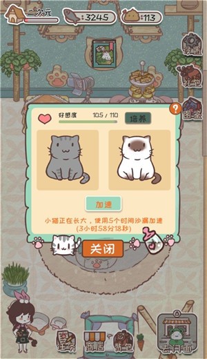猫舍服装店游戏 V 1.0.0