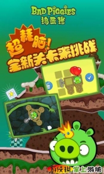 捣蛋猪(中文版) Bad Piggies v1.5.3 v2.5.5