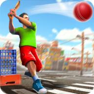 街头板球锦标赛Street Cricket Championship