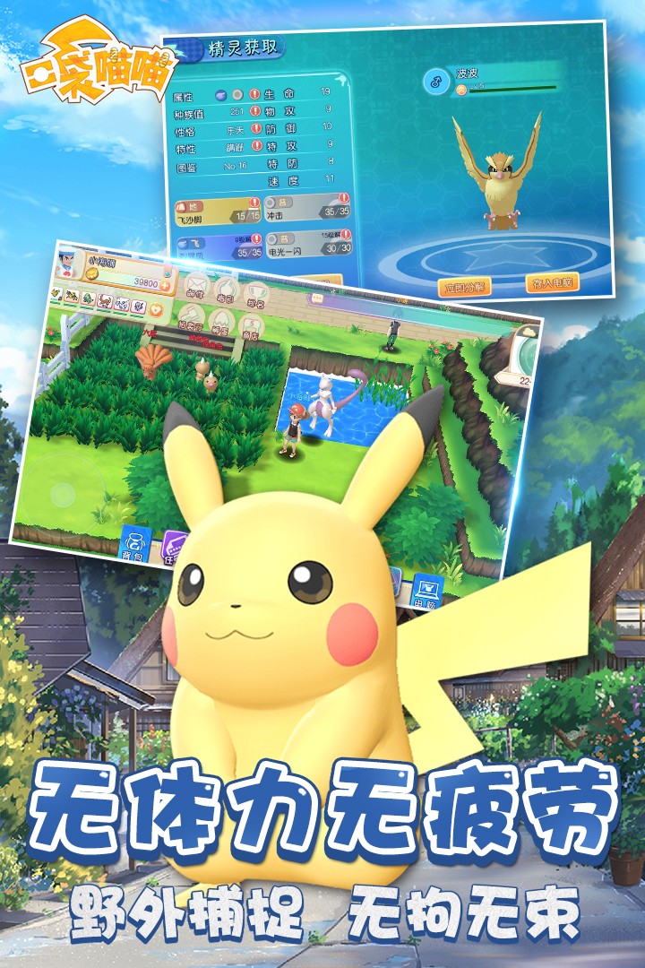 口袋喵喵  v1.2.2