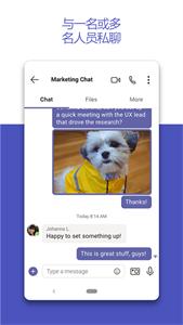 Microsoft Teams  v14161.0.0.2023134402