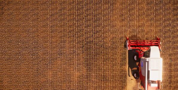 真正的农场牧场 v1.0