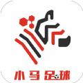 小马足球