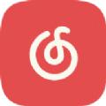 网易云解析app官方版下载 
