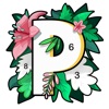 paintly数字填色安卓最新版