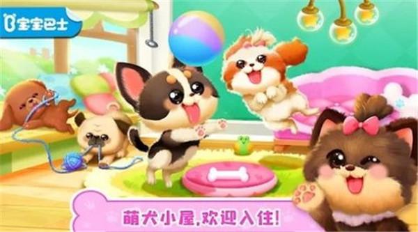 奇妙狗狗养成记 v8.64.00.00