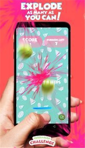 西瓜挑战赛 v1.0