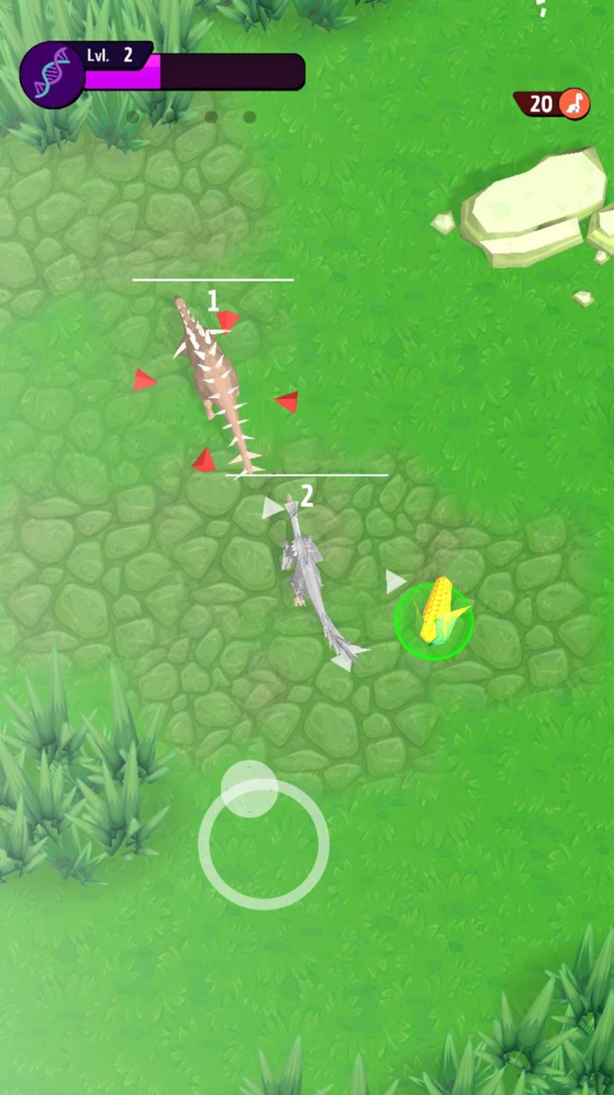 动物进化挑战 动物进化挑战