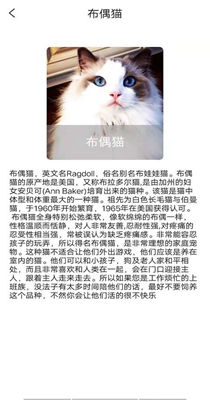 贝贝宠物百科 v1.0