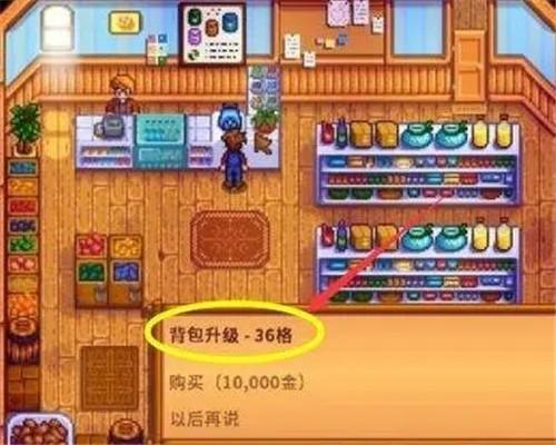 星露谷物语国际服