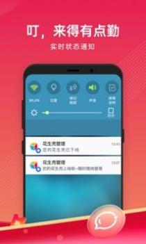 花生壳管理 v3.0.5