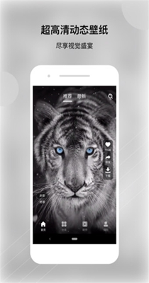 动态壁纸帝 v1.0.5