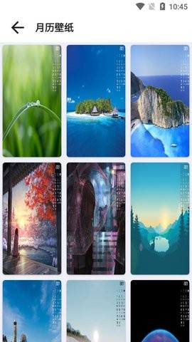 喵喵壁纸 v1.0