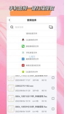 音频格式大师  v1.1