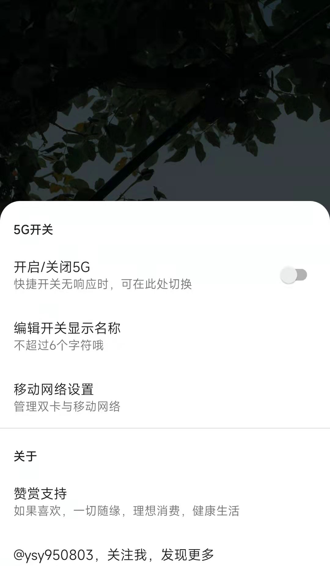 MIUI 5G开关