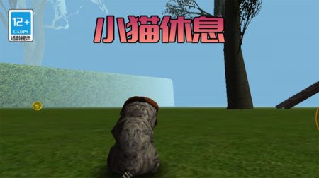 极速流浪猫