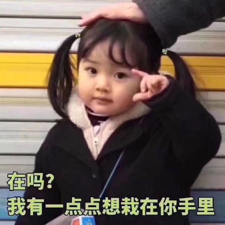 今天植树节我想栽在你手里因为你好土表情包图片.jpg