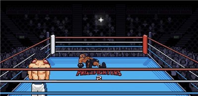 职业拳击手2 2024-06-25 15:08