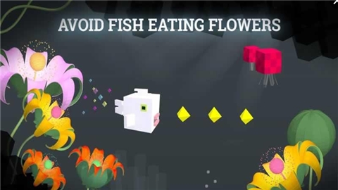 Square Fish(方块鱼) v2.0 安卓版