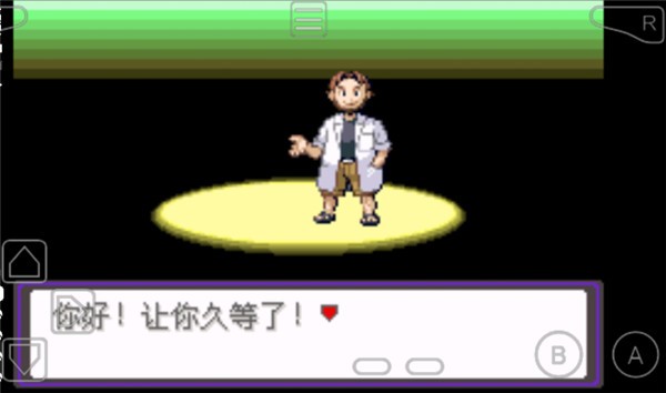 口袋妖怪漆黑的魅影5.0 v5.0