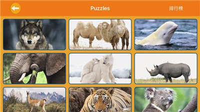 动物经典派舞会  V 1.0