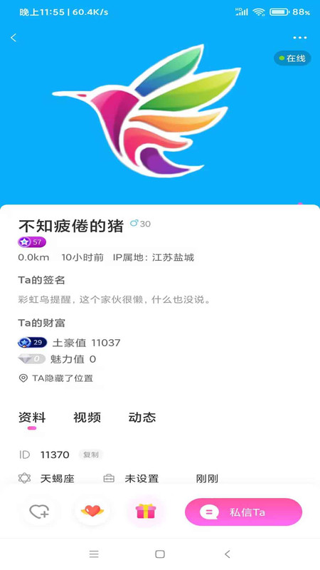 彩虹鸟交友软件