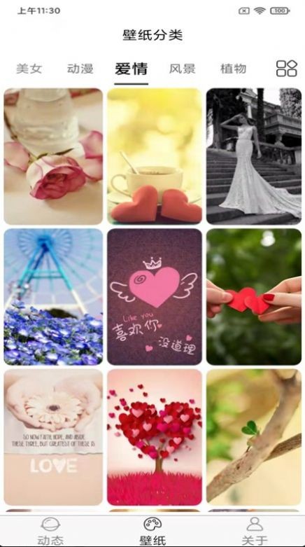 飞花动态壁纸  v1.1.0