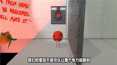 蔬菜陷阱 2024-06-25 15:08