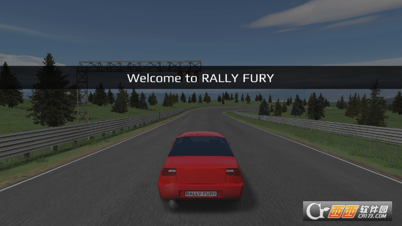 Rally Fury