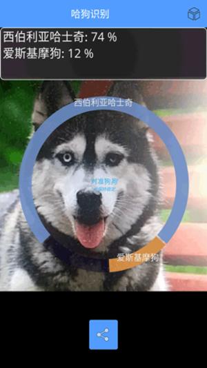 哈狗识别 版本:v1.0