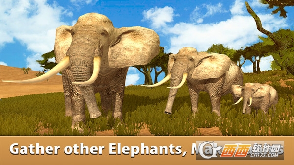 非洲大象模拟器 v1.0 安卓版
